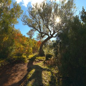 Licht und Schatten...... Heike Wackermann